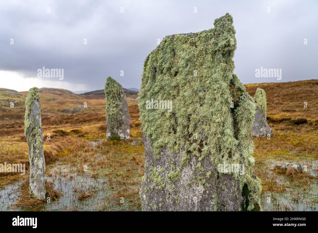 Mousse et lichen poussant sur une ancienne pierre debout (avec un arrière-plan flou) sur l'île de Lewis dans les Hébrides extérieures, en Écosse Banque D'Images