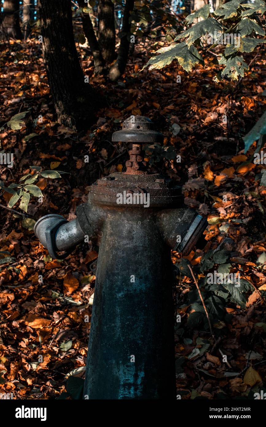 Plan vertical d'une borne d'incendie rouillée entourée de feuilles d'automne tombées Banque D'Images