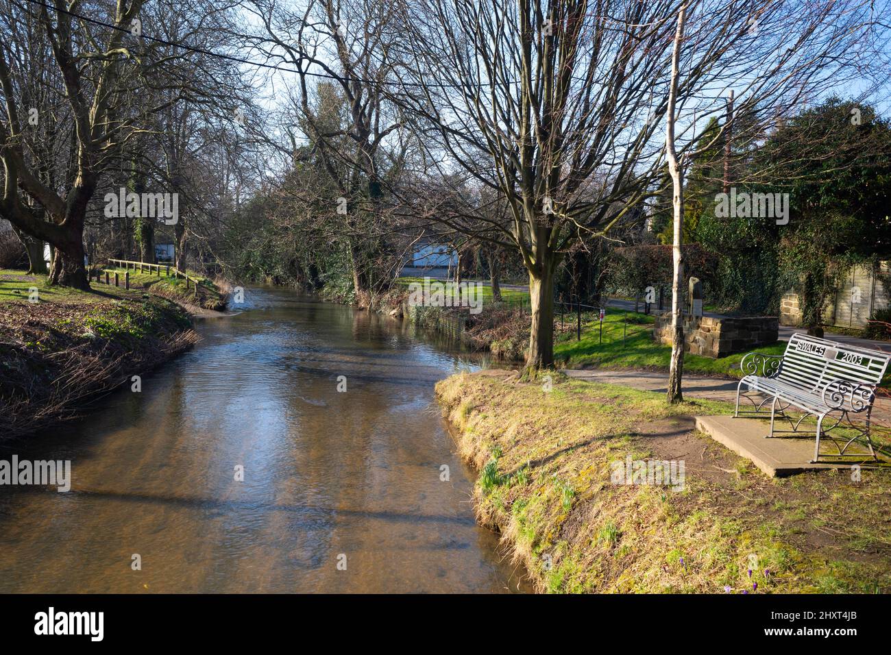 La rivière Leven traversant la forêt près du centre de la ville de Stokesley North Yorkshire sous le soleil de printemps Banque D'Images