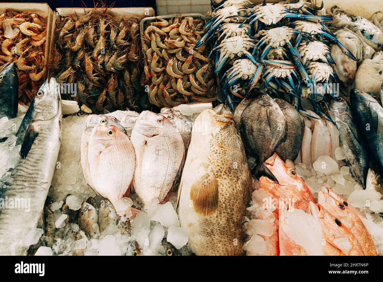 Poisson frais exposé sur glace dans la boutique du marché des pêcheurs. Poisson de fruits de mer, crevettes, crabe, poisson frais. Fond de poisson de fruits de mer. Vue de dessus Banque D'Images