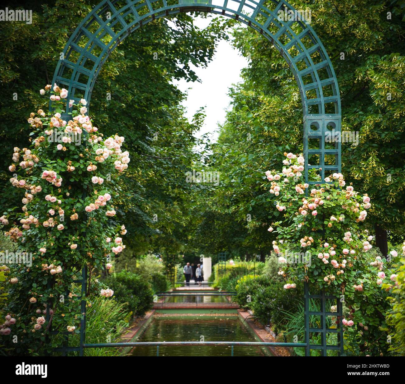 Métaphore de l'amour qui dure toute une vie. Arche surcultivée avec des roses décolorées. Couple senior à l'arrière-plan. Parc avec étang à Paris, France. Banque D'Images