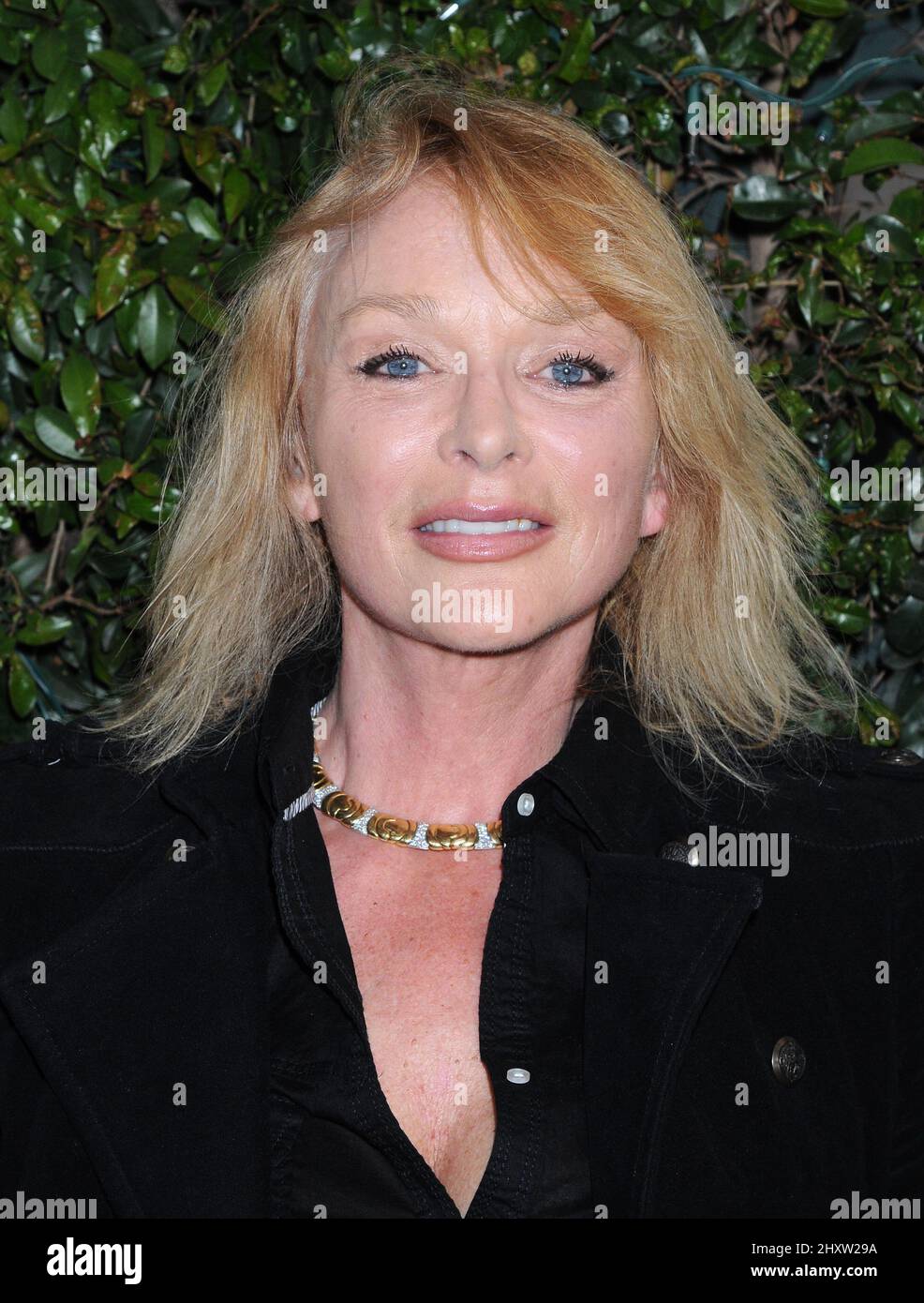 Sybil danning Banque de photographies et d’images à haute résolution