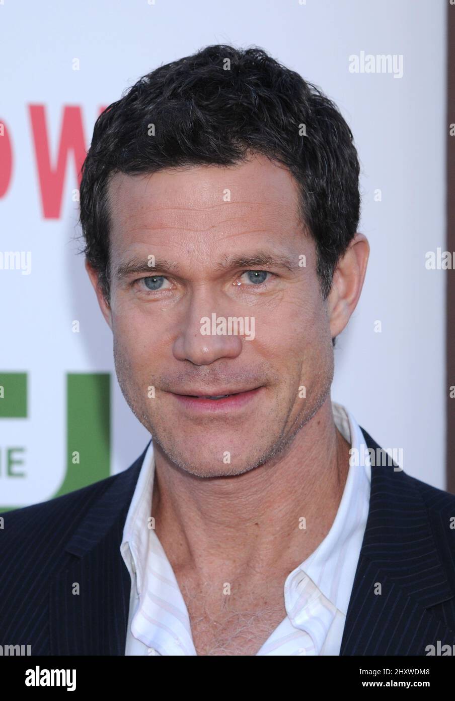 Dylan Walsh pendant la CBS, la CW et Showtime TCA Party tenue à la Pagoda, Californie Banque D'Images