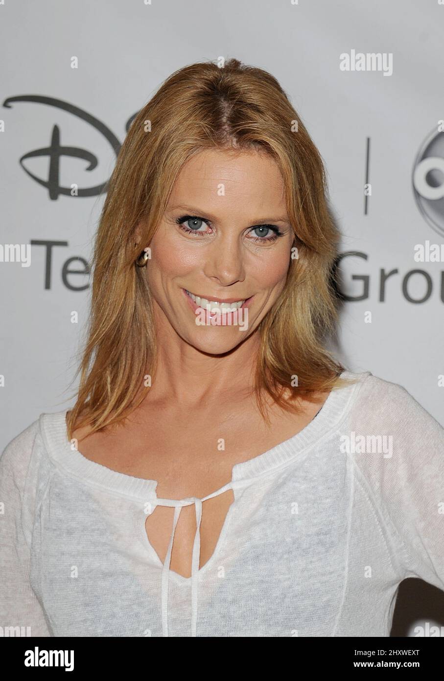 Cheryl Hines lors de la présentation ABC Summer 2011 TCA à l'hôtel Hilton de Beverly Hills, Californie Banque D'Images