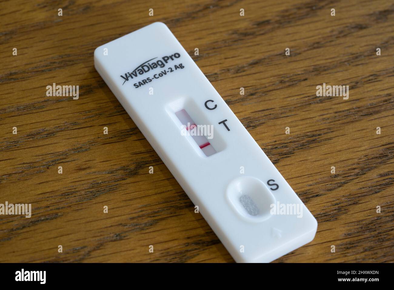 Une bandelette d'essai de débit latéral rapide positive avec deux lignes rouges pour le SARS-COV-2 (Covid-19) confirmant la présence du coronavirus sur l'écouvillon d'essai. Angleterre Banque D'Images