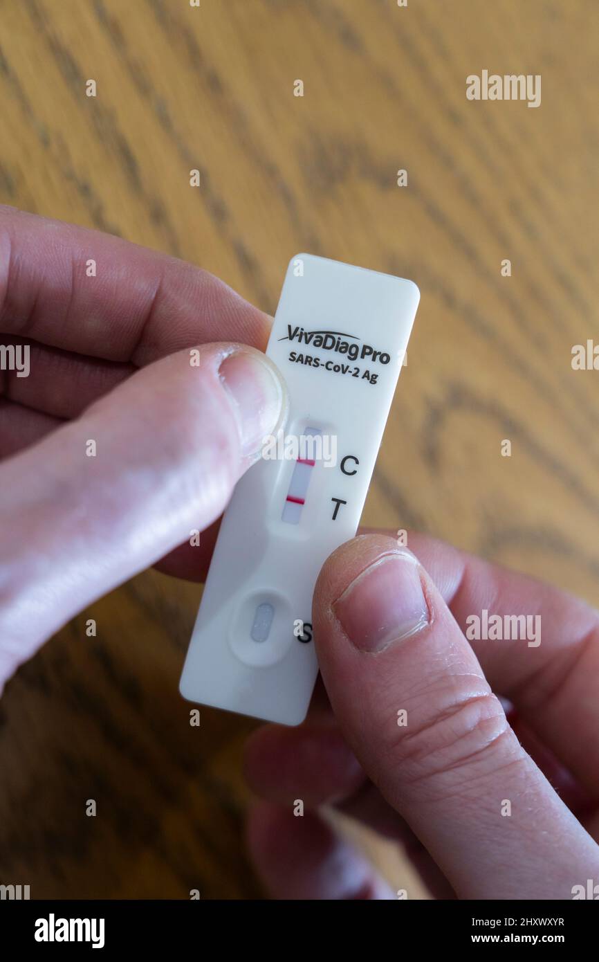 Un homme de 41 ans d'âge moyen qui possède une bandelette d'essai de débit latéral rapide positive avec deux lignes rouges pour le SRAS-COV-2 (coronavirus Covid-19). Angleterre Banque D'Images