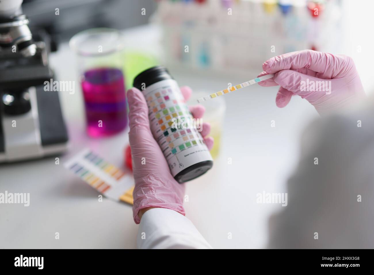 Le scientifique tient le papier de test de tournesol pour l'analyse du sol, le papier de tournesol montre l'acidité, l'analyse chimique Banque D'Images