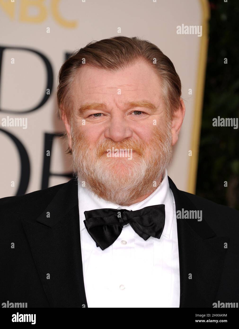 Brendan Gleeson à la cérémonie annuelle des Golden Globe Awards 69th, qui s'est tenue à l'hôtel Beverly Hilton de Los Angeles, en Californie, le 15 janvier 2011. Banque D'Images