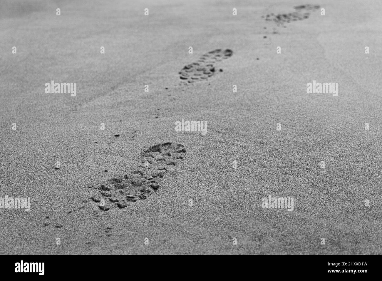 Gros plan en niveaux de gris des marques de chaussures sur le sable. Banque D'Images