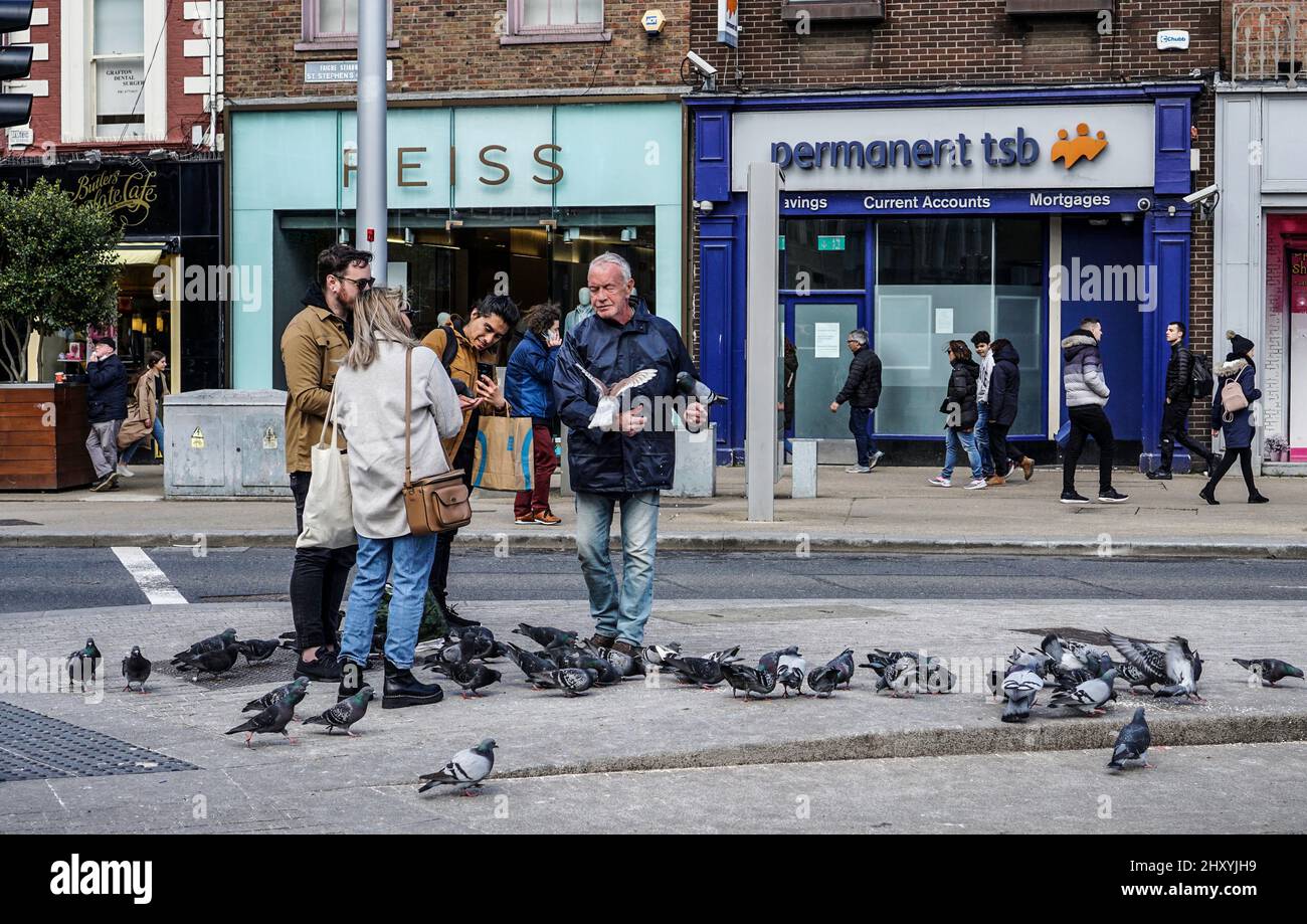 Un homme qui nourrit les pigeons à l'extérieur du parc vert St Stephens à Dublin, en Irlande. Banque D'Images