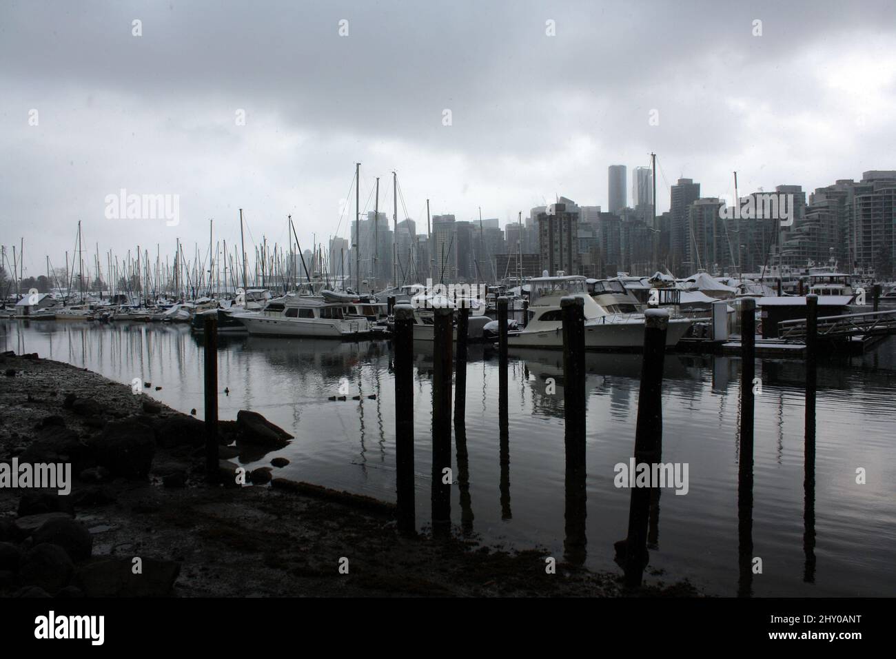 Yachts et bateaux à voile garés à Coal Harbour, Vancouver (Colombie-Britannique), Canada Banque D'Images