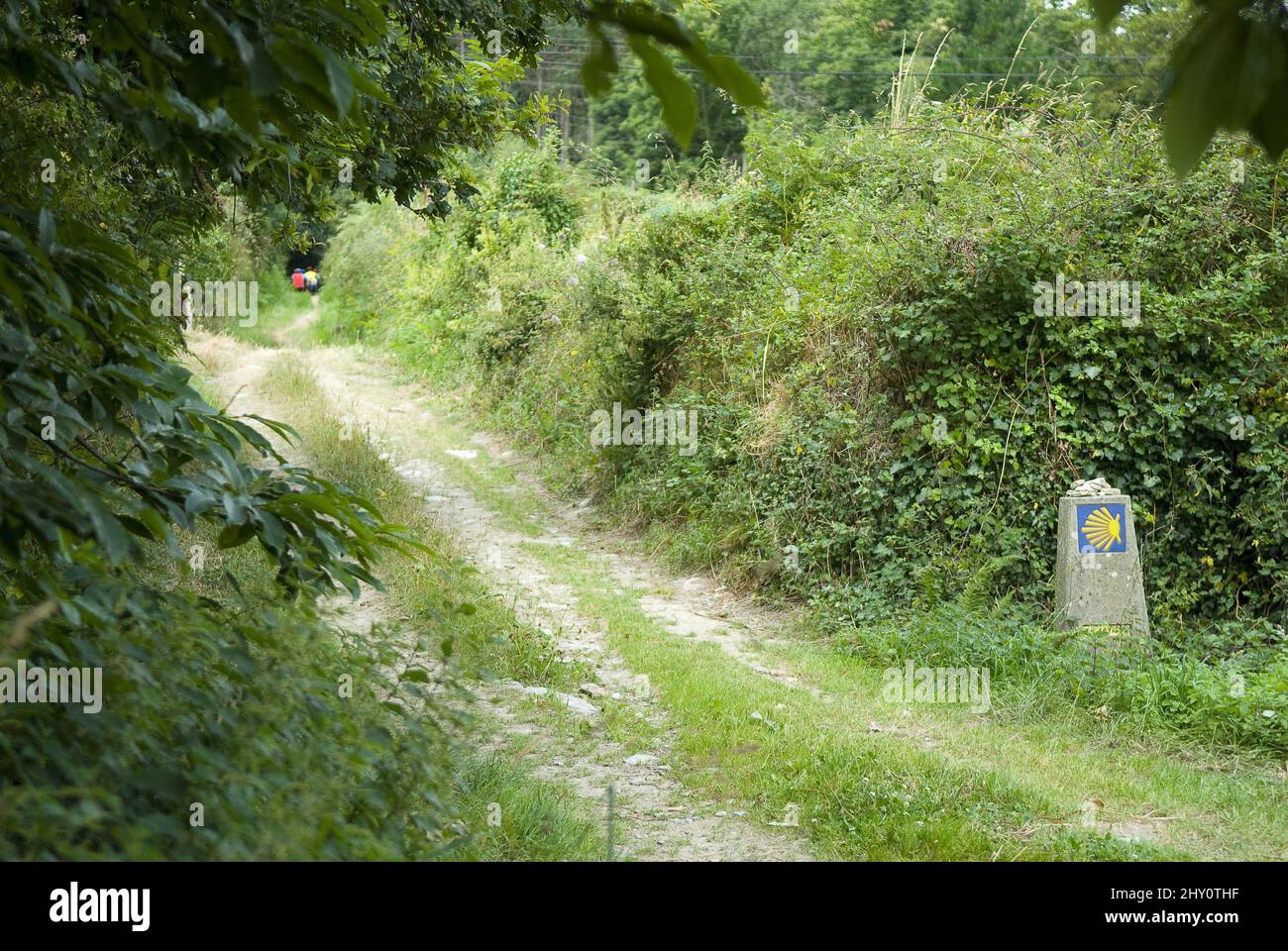 Panneau indiquant la route vers Santiago près d'un chemin entouré d'arbres verts dans le nord de l'Espagne Banque D'Images