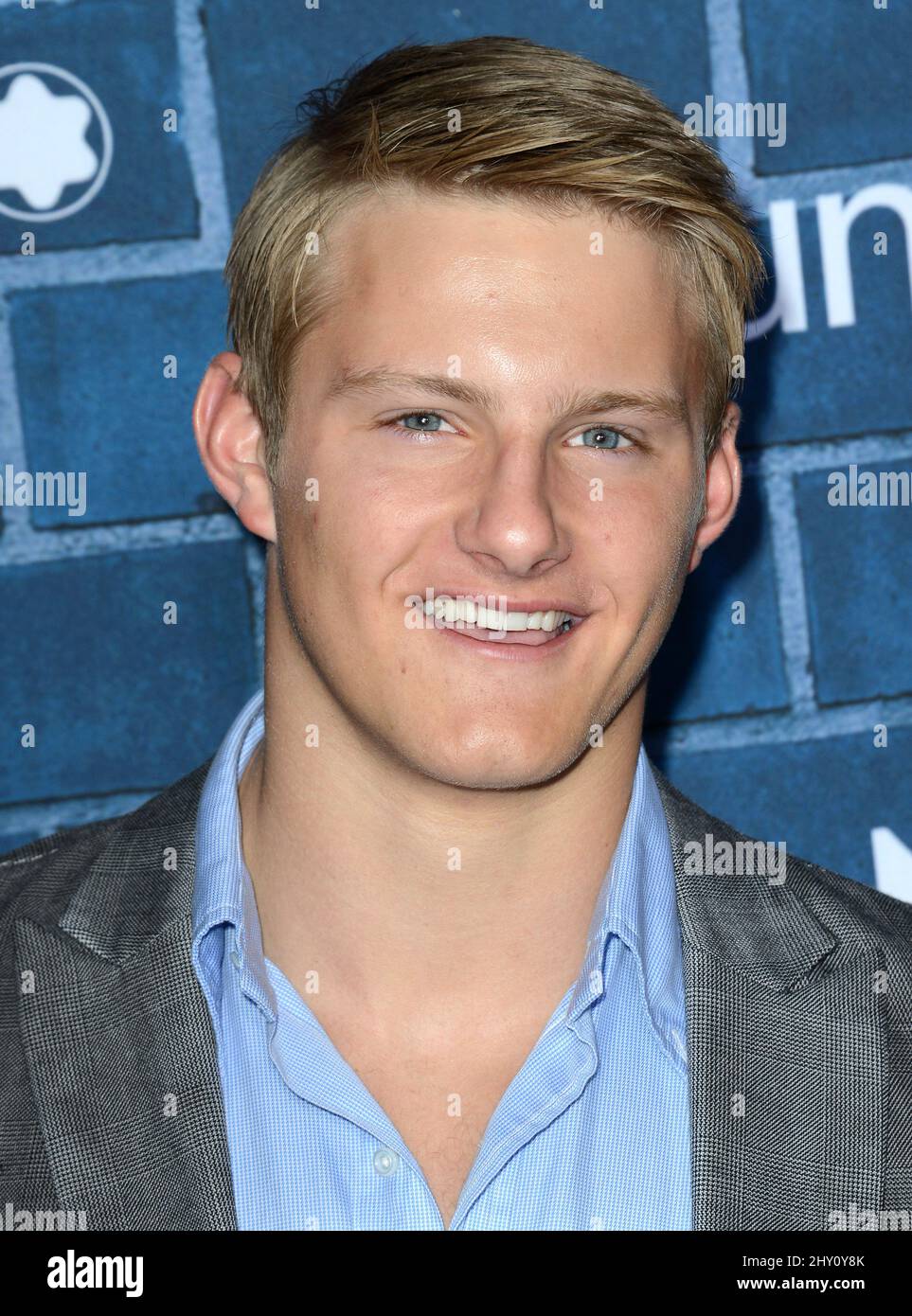 Alexander Ludwig assistant au brunch pré-Oscar 2nd annuel de Montblanc qui s'est tenu à l'hôtel Bel-Air à Los Angeles, en Californie. Banque D'Images