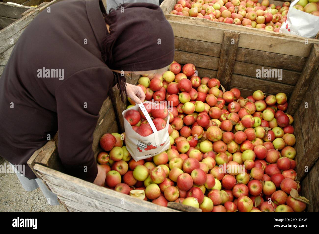 Fruits et légumes, à vendre frais sur un marché agricole à l'extérieur du public Banque D'Images