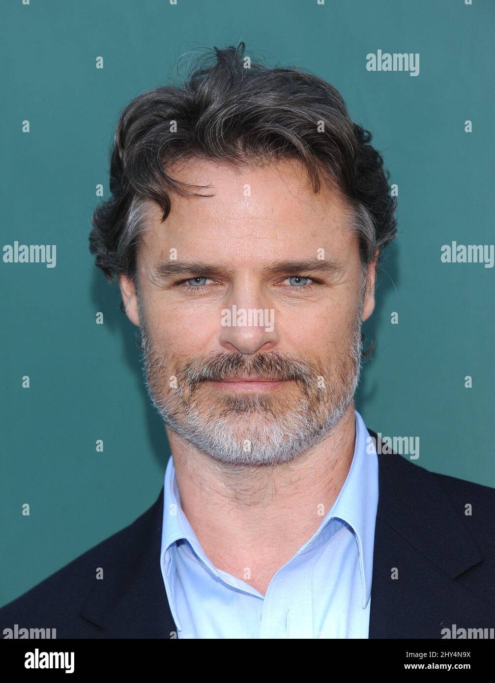 Dylan Neal assistant à l'été 2014 TCA: La « célébration de Noël NORTHPOLE » de la marque au manoir NORTHPOLE à Beverley Hills Banque D'Images