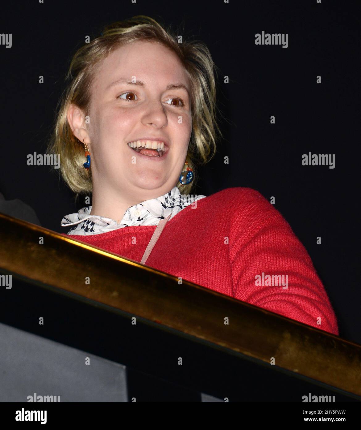 Lena Dunham assiste à un photocall pour '71', 'Wild Tales' et 'Reality' à l'AFI FEST 2014 qui s'est tenu au TCL Chinese 6 Theatres à Hollywood, Californie. Banque D'Images