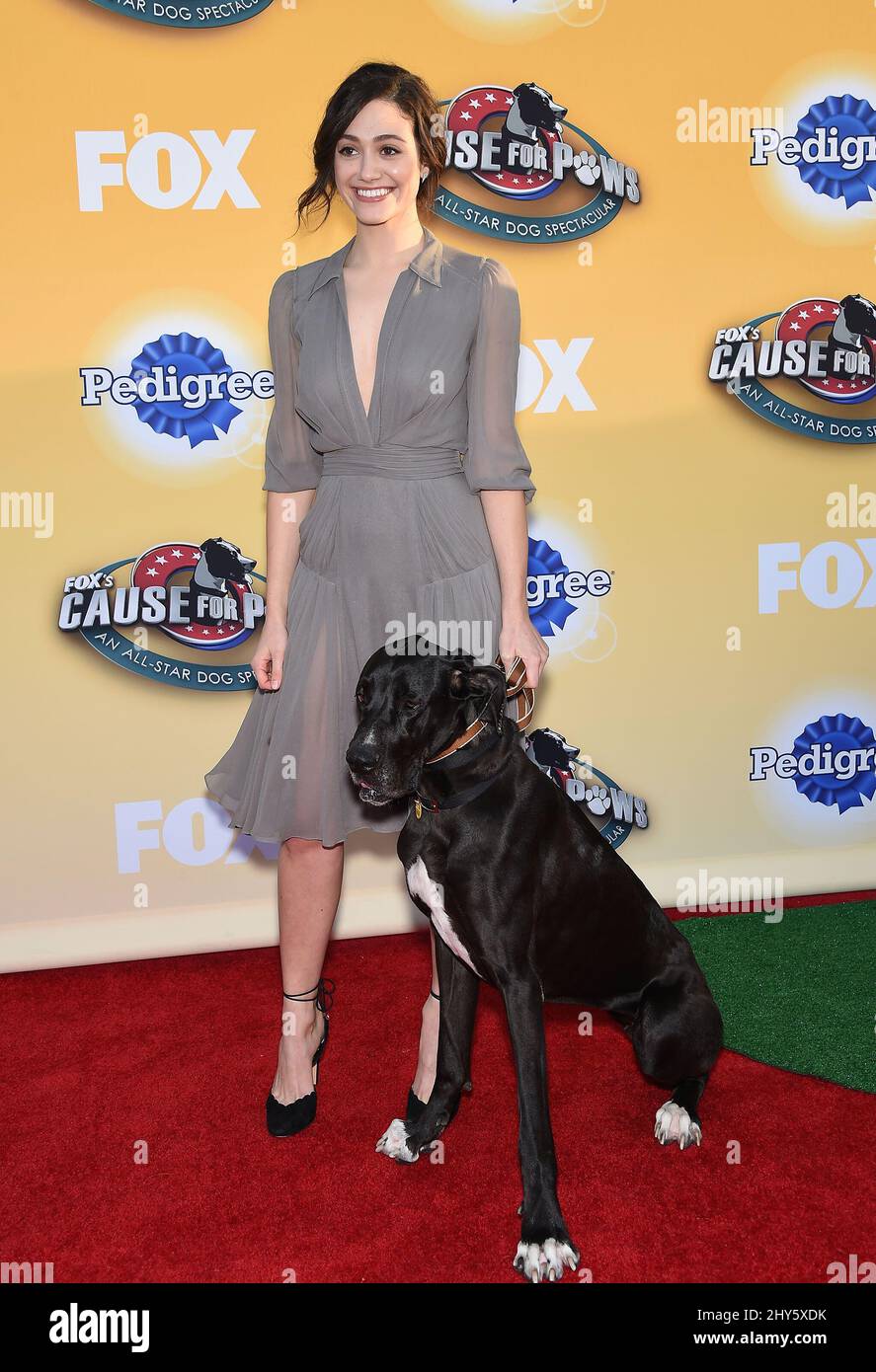 Emmy Rossum assister à LA cause de FOX pour les Paws: Un chien All-Star spectaculaire au Barker Hanger à Los Angeles, Etats-Unis. Banque D'Images