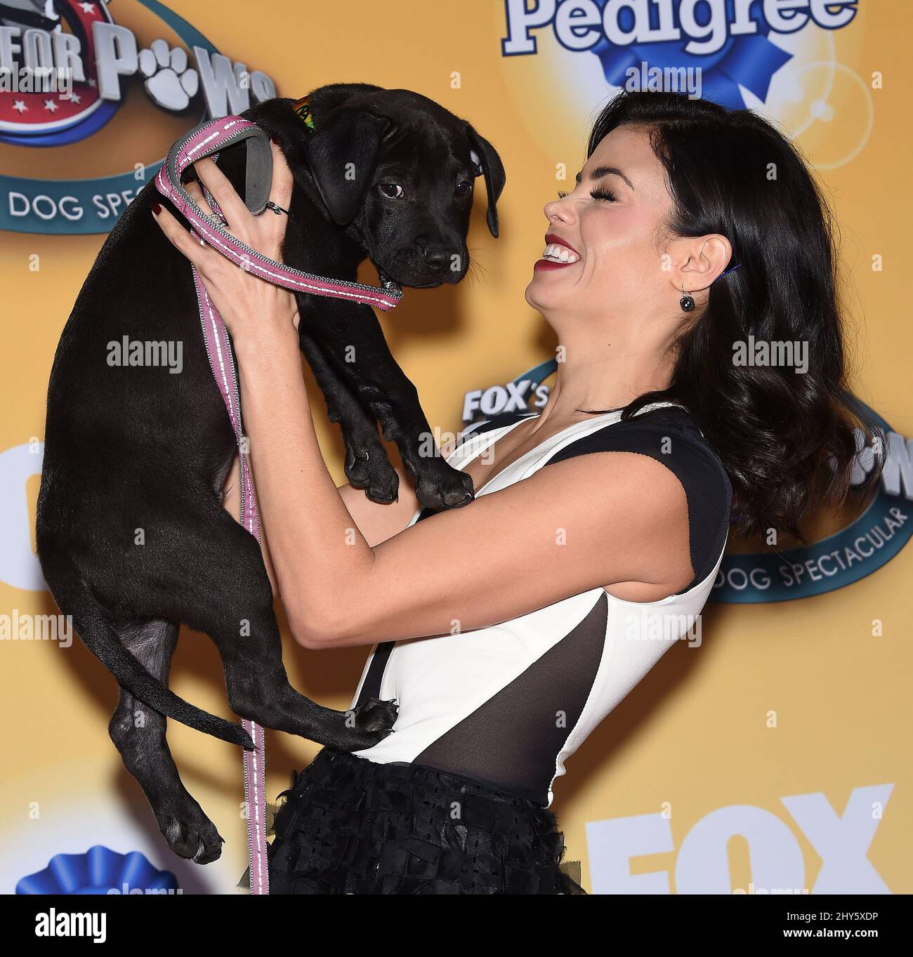 Jenna Dewan-Tatum assistant à FOX's cause for Paws: Un chien tout-étoiles spectaculaire au Barker Hanger à Los Angeles, États-Unis. Banque D'Images