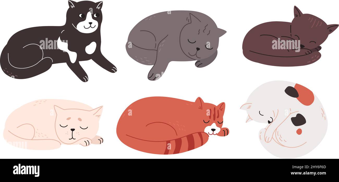 Les chats multicolores de différentes races se reposent. Les chatons fatigués et charmants dorment. Animaux mignons dessinés dans un style plat. Illustration vectorielle colorée, ensemble de caniche isolé sur fond blanc Illustration de Vecteur