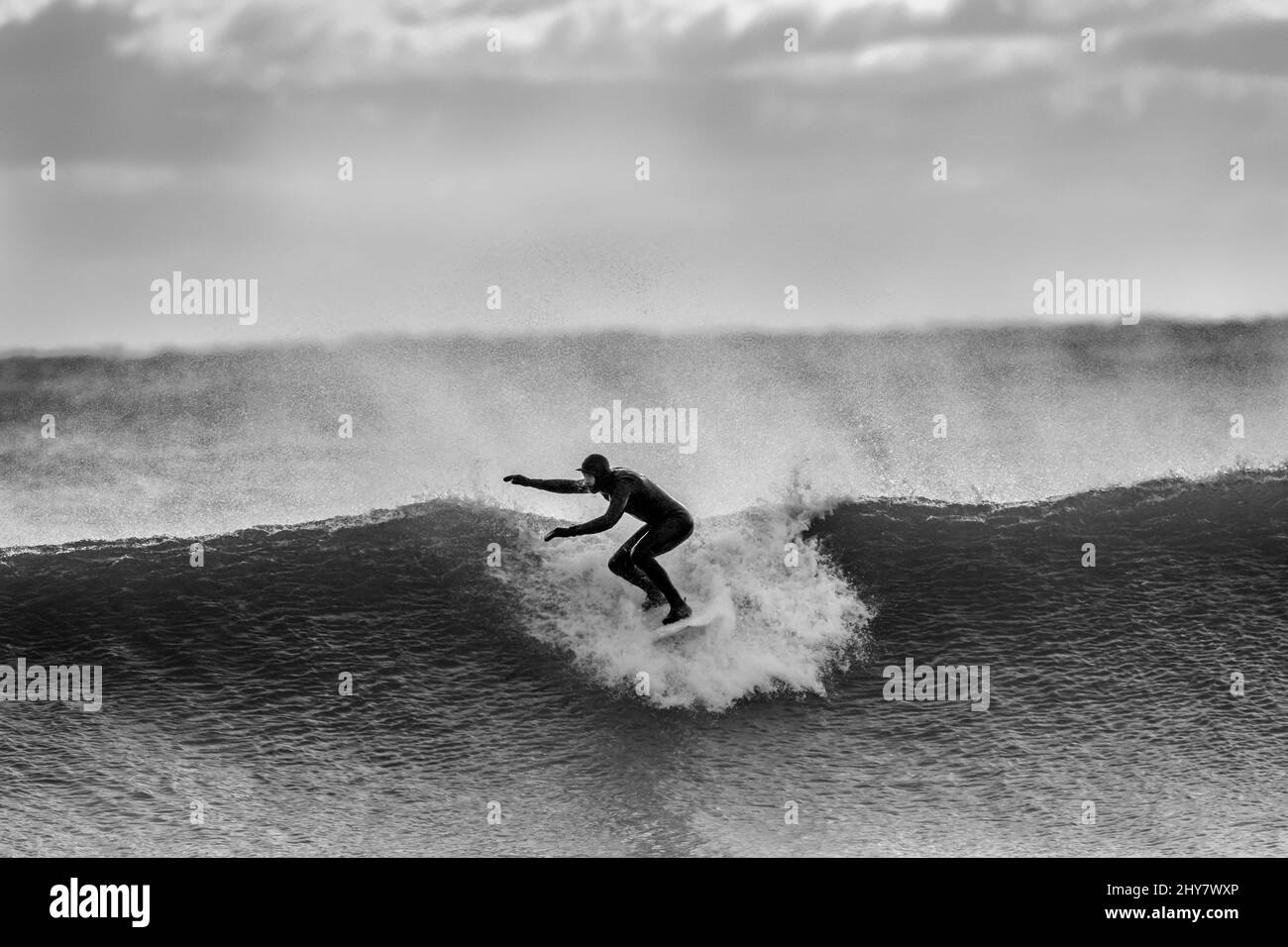 Surfeur attrapant la grande vague dans la mer Banque D'Images