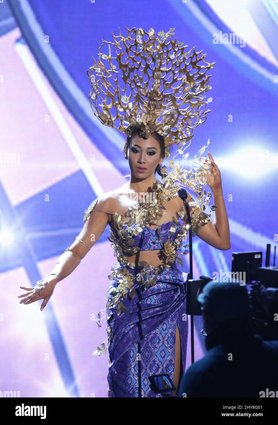 Participe au spectacle national de costumes Miss Universe 2015, Planet Hollywood Resort & Casino Banque D'Images