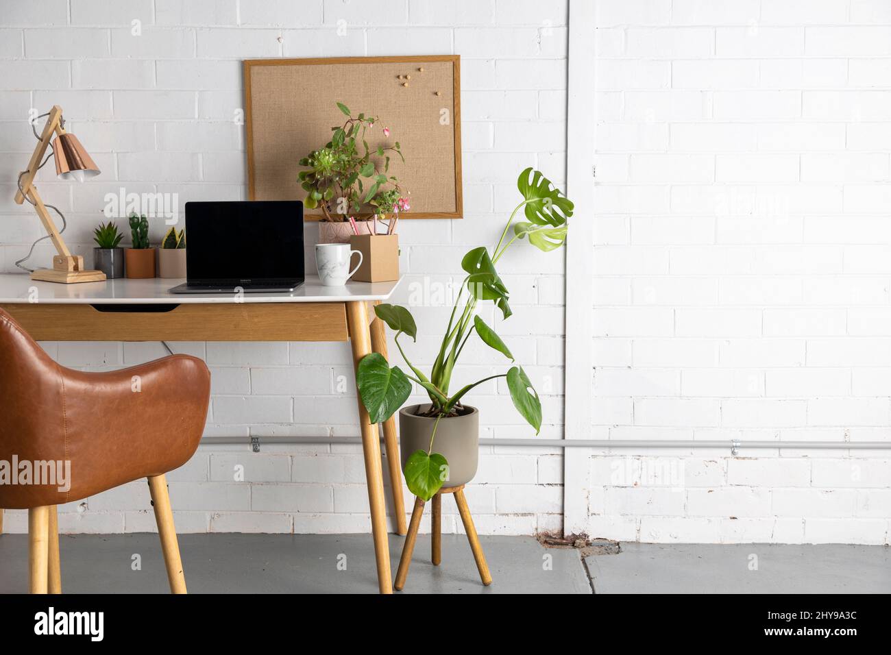 Espace de travail de bureau à domicile avec plantes et ordinateur. Banque D'Images