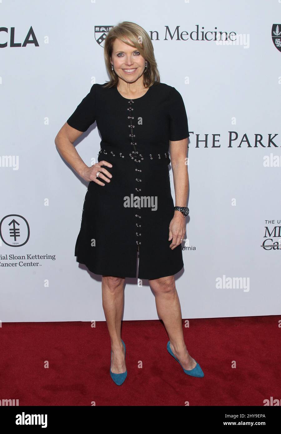 Katie Couric arrive à Sean Parker et au gala de la Fondation Parker pour célébrer un jalon dans la recherche médicale le mercredi 13 avril 2016, à Los Angeles. Banque D'Images