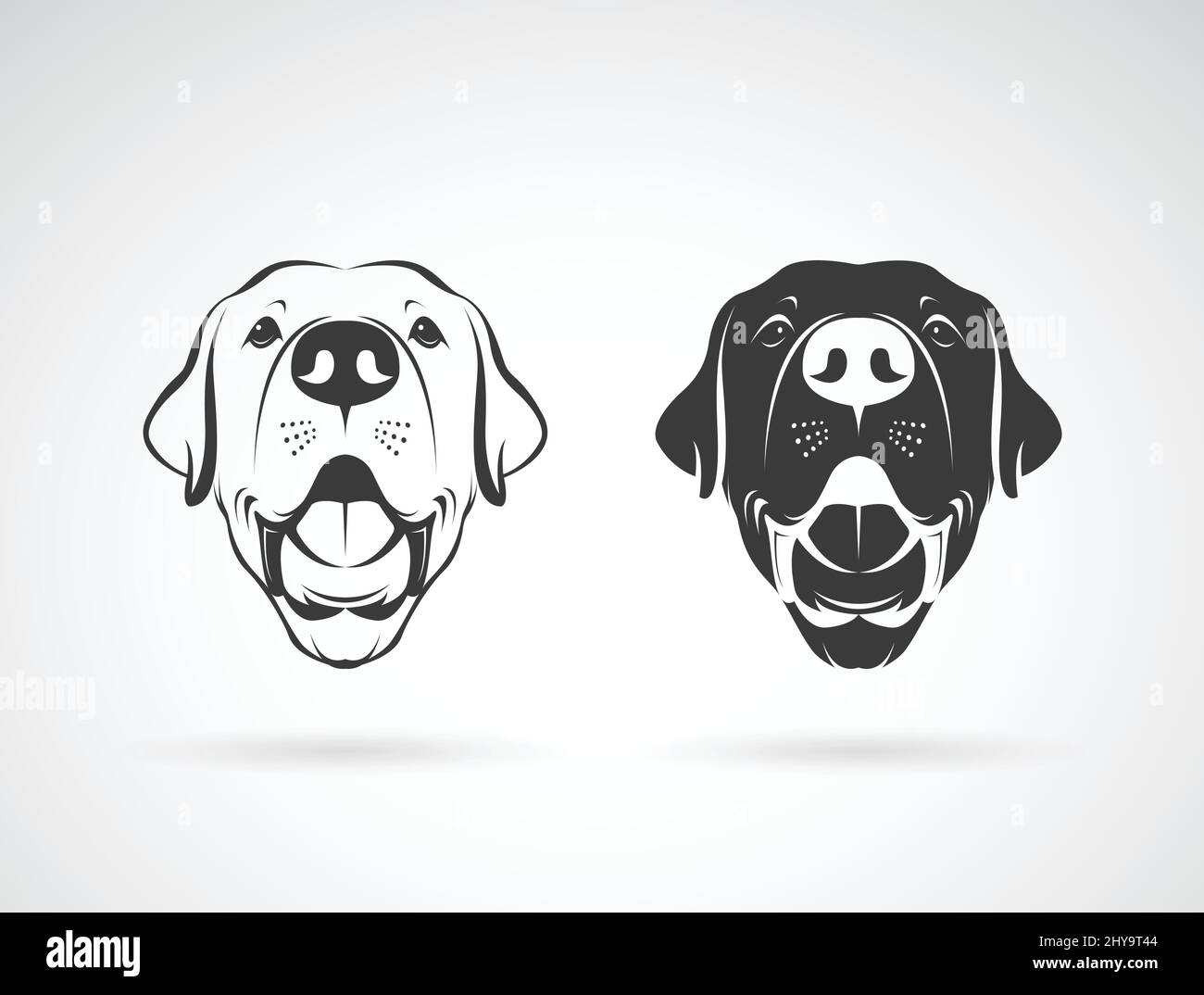 Image vectorielle d'une tête de chien labrador sur fond blanc. Illustration vectorielle superposée facile à modifier. Illustration de Vecteur