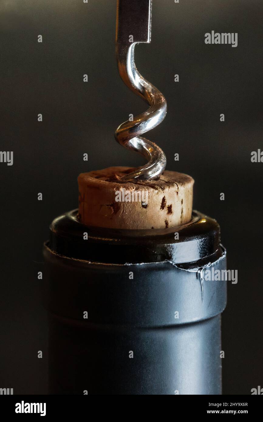 Gros plan d'un tire-bouchon qui a presque tiré le liège d'une bouteille de vin Banque D'Images