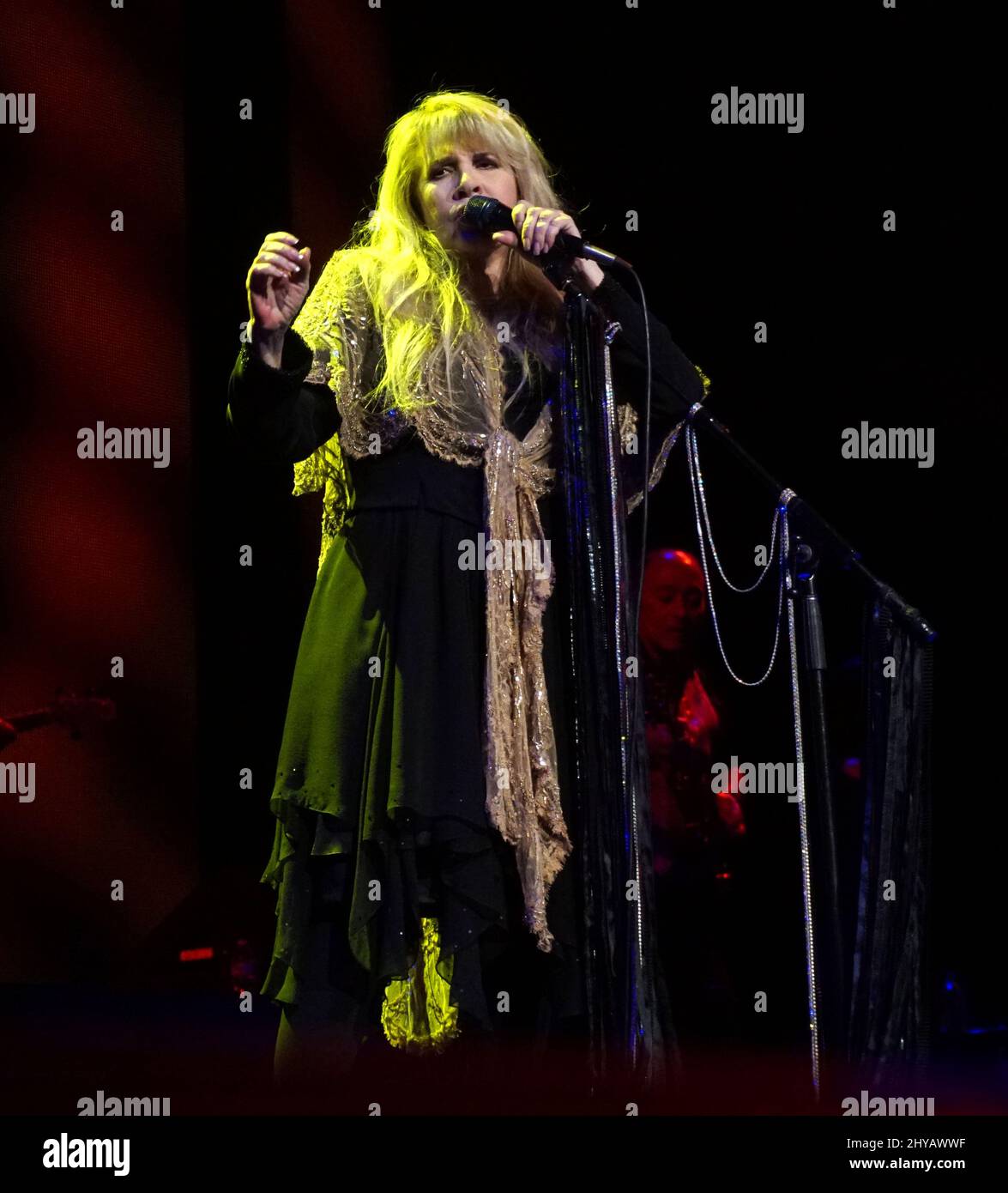 Stevie Nicks se présentant à l'ouverture de Stevie Nicks, fille de sa ville natale, « 24 Carat Gold Tour », avec les prétendants au Talking Stick Arena. Banque D'Images