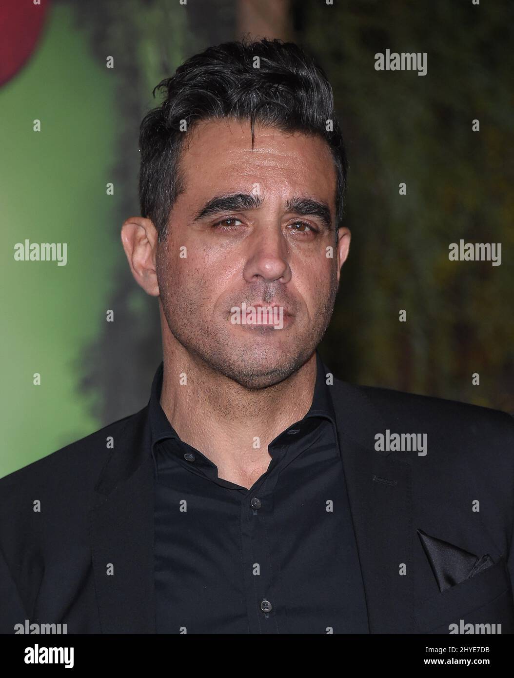 Bobby Cannavale assister à la Jumanji: Bienvenue à la première Jungle à Los Angeles Banque D'Images