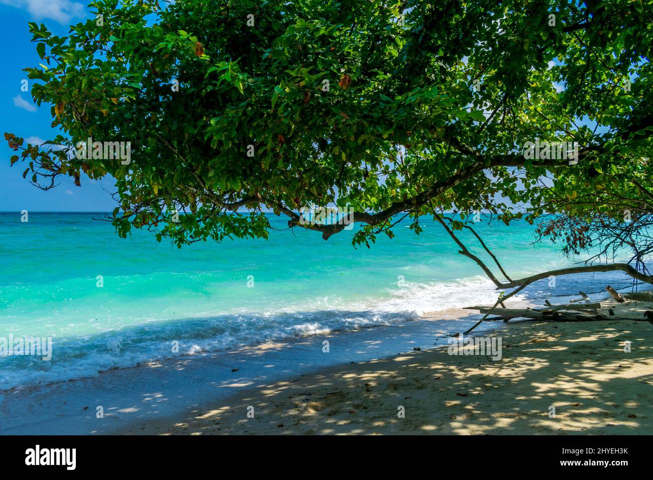 Nuances sur la plage, Kalapathar Beach, Havelock Island, Andaman, Inde Banque D'Images