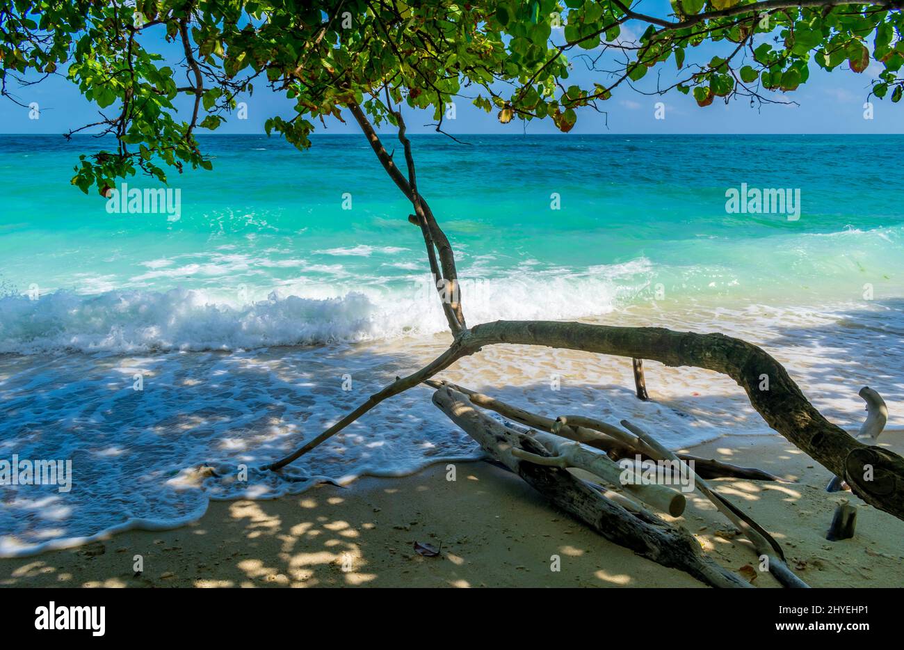 Nuances sur la plage, Kalapathar Beach, Havelock Island, Andaman, Inde Banque D'Images