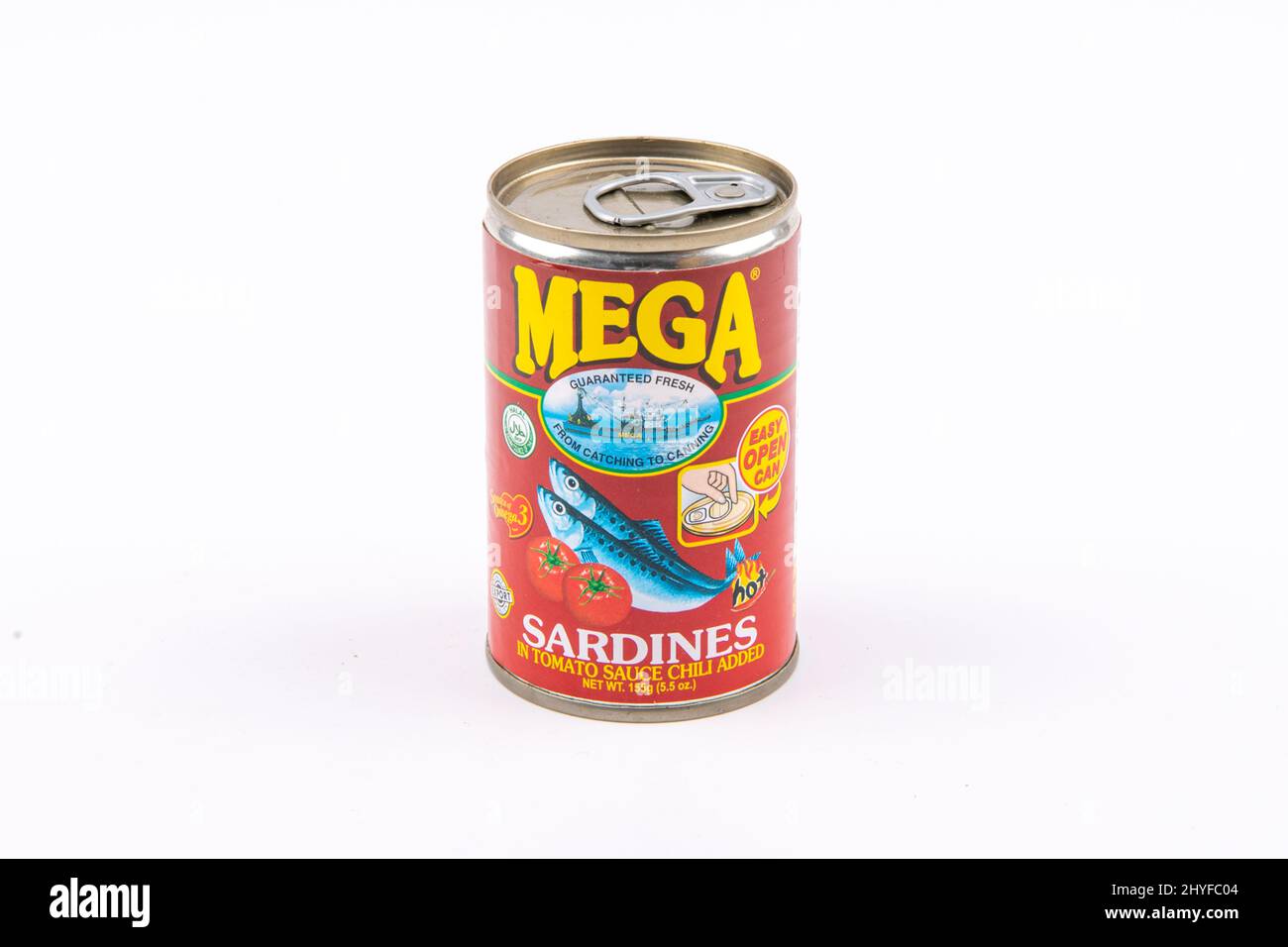 Les grandes sardines sur fond isolé Banque D'Images