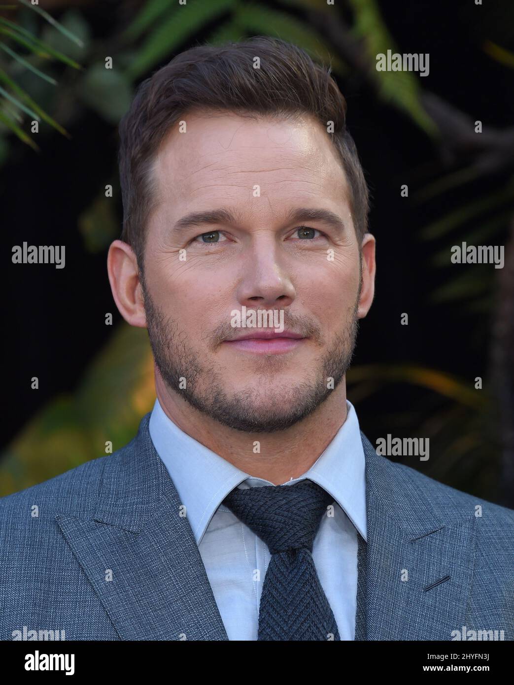 Chris Pratt à la première de Los Angeles « Jurassic World: Fallen Kingdom », qui s'est tenue au Walt Disney concert Hall le 12 juin 2018 à Los Angeles, en Californie. Banque D'Images