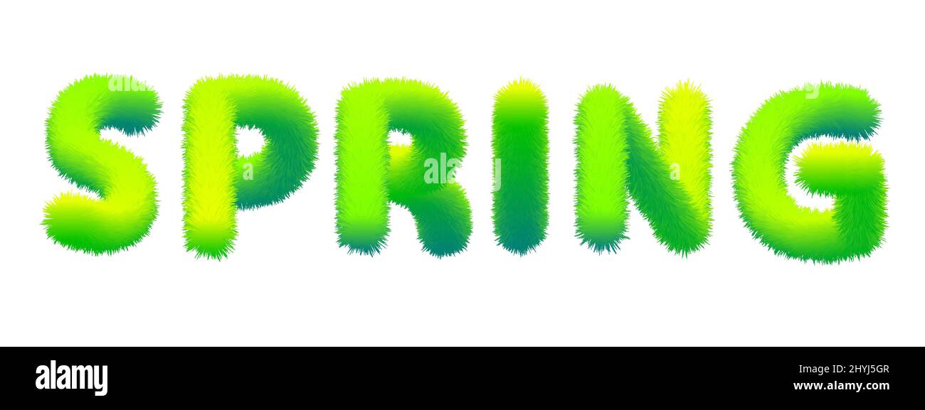 Word Spring en fourrure, molletonnée. Typographie, texte, texture, lettres vertes, vecteur, illustration isolée Illustration de Vecteur
