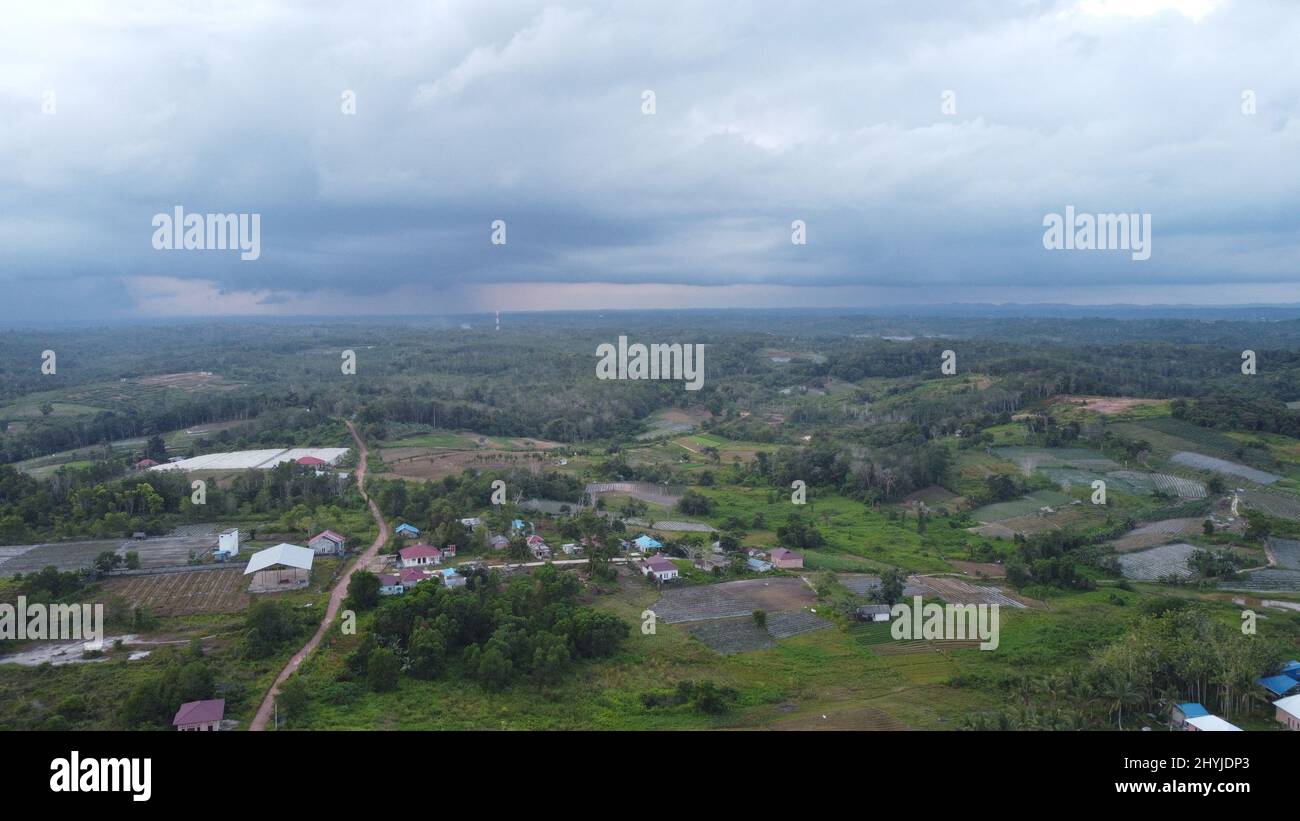 Vue aérienne des champs agricoles de Kalimantan est. Banque D'Images