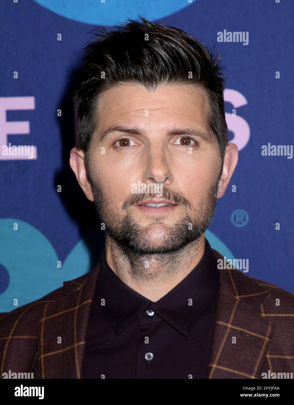 Adam Scott assiste à la première de la saison deux de Big Little mensonges à New York Banque D'Images