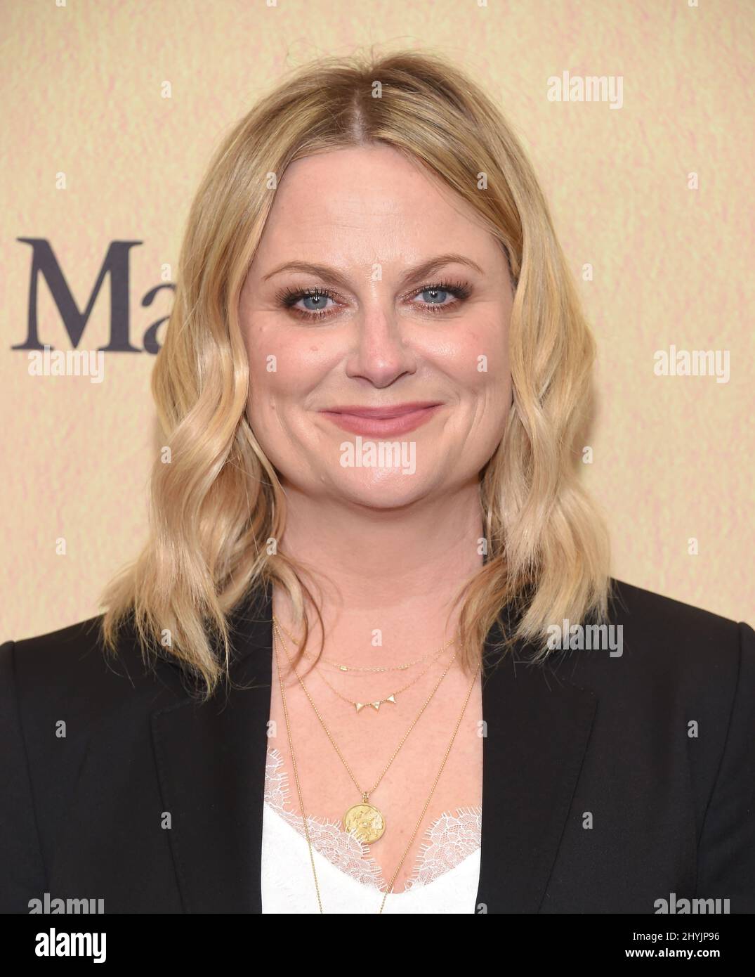 Amy Poehler arrive au Gala annuel 2019 Women in film à l'hôtel Beverly Hilton le 12 juin 2019 à Beverly Hills, CA. Banque D'Images