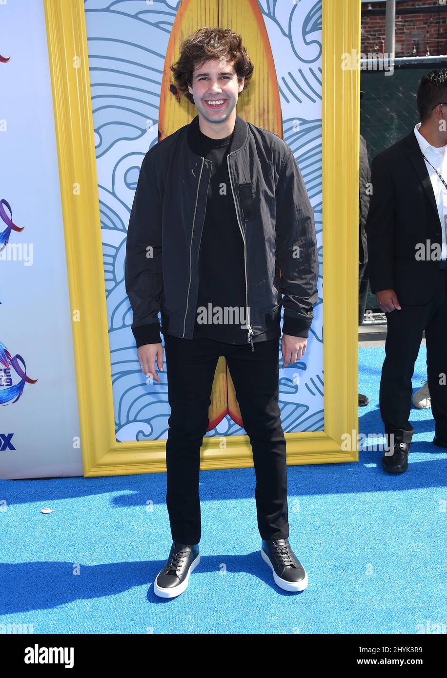 David Dobrik assister aux Teen Choice Awards 2019 qui se tiennent au Hermosa Beach Pier Plaza à Hermosa Beach, en Californie Banque D'Images