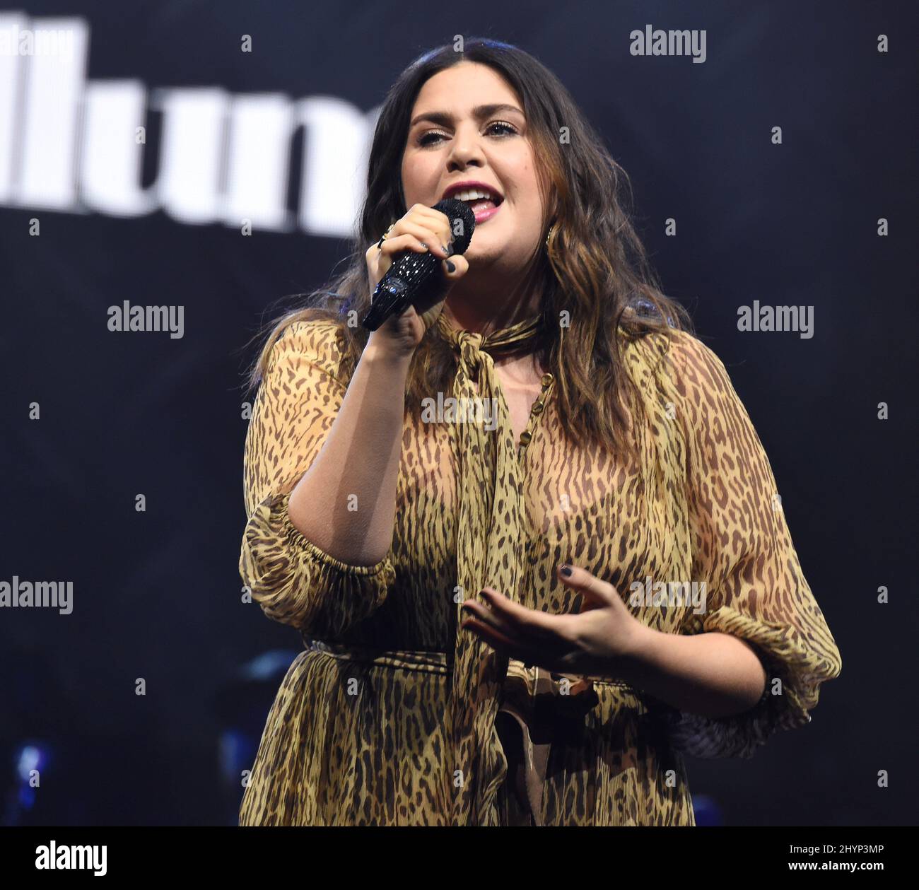 Lady Antebellum, Hilary Scott présente le déjeuner du Big machine Label Group lors du séminaire radio Country 2020 qui s'est tenu à l'Omni Nashville le 20 février 2020 à Nashville, TN. Banque D'Images