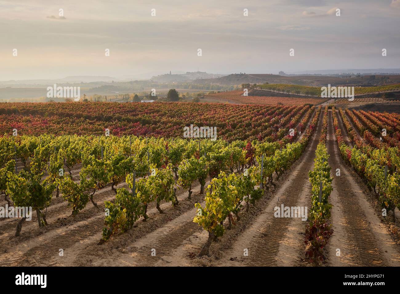 20/10/21 vue sur Harro depuis les vignobles, Villalba de Rioja (la Rioja), Espagne. Photo de James Sturcke | sturcke.org Banque D'Images