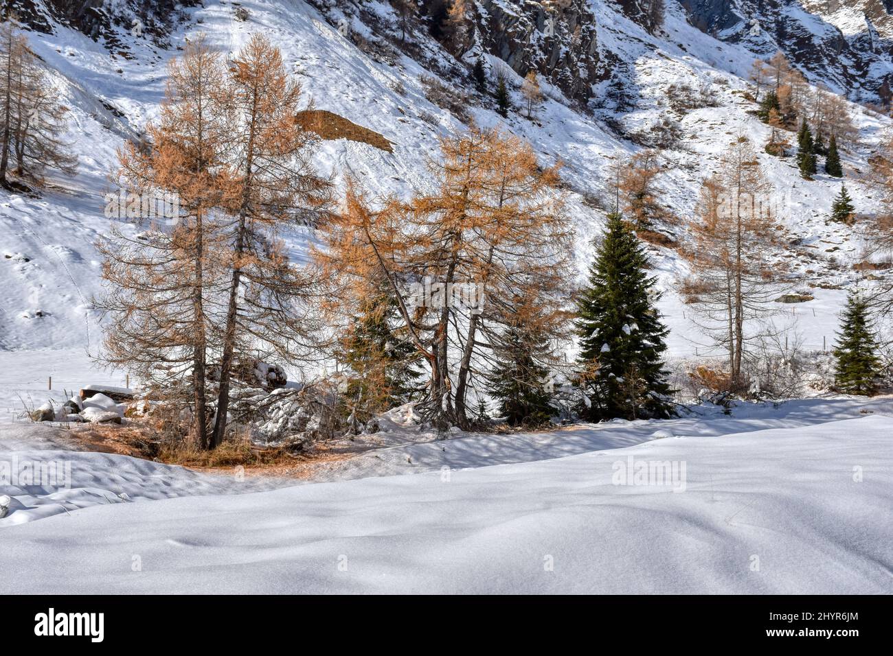 Großglockner, hiver, Lucknerhaus, Schnee, Schneedecke, weiß, schneeweiß, winterlich, Licht, Schatten, Alm, Osttirol, Könitztal, EIS, vereist, Saisie Banque D'Images