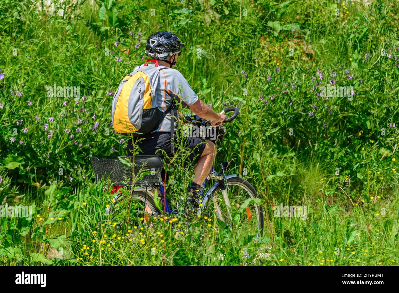 Visite en vélo en été Banque D'Images