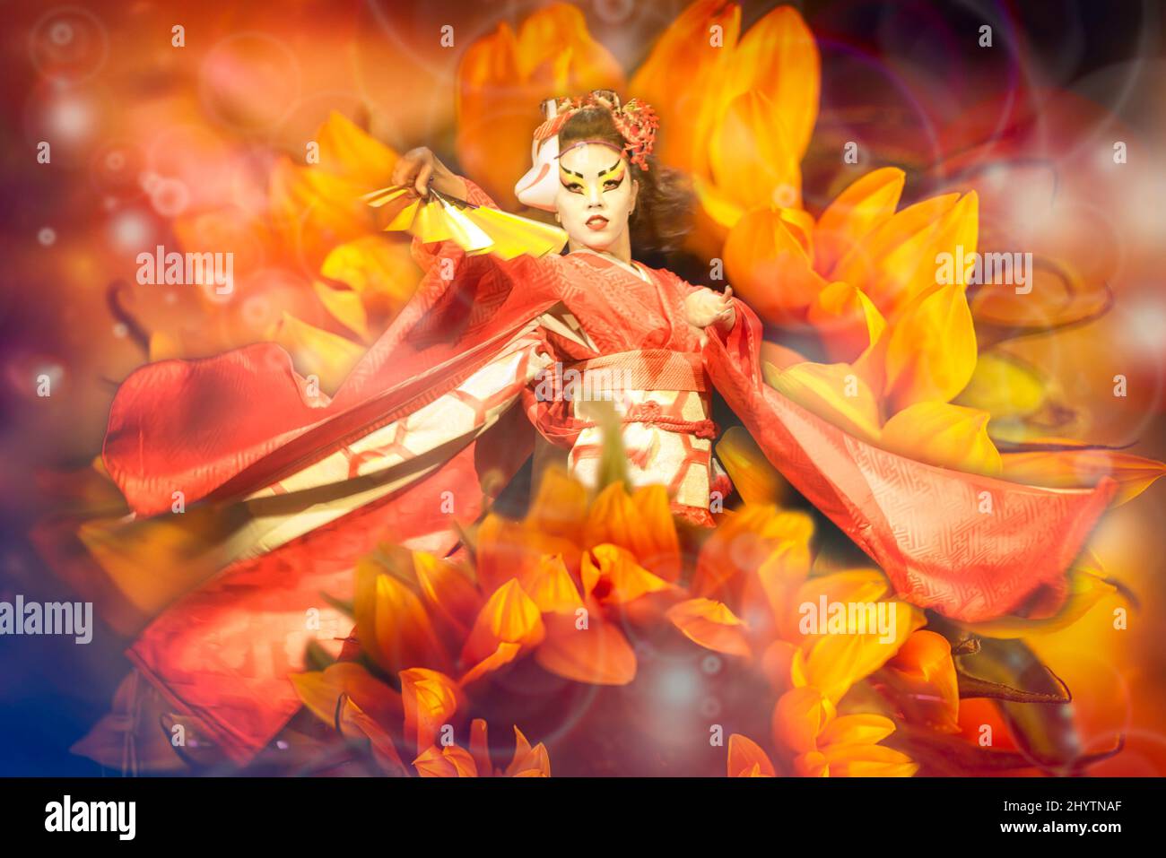 Geisha japonais avec ventilateur dansant sur fond de tournesols. Banque D'Images
