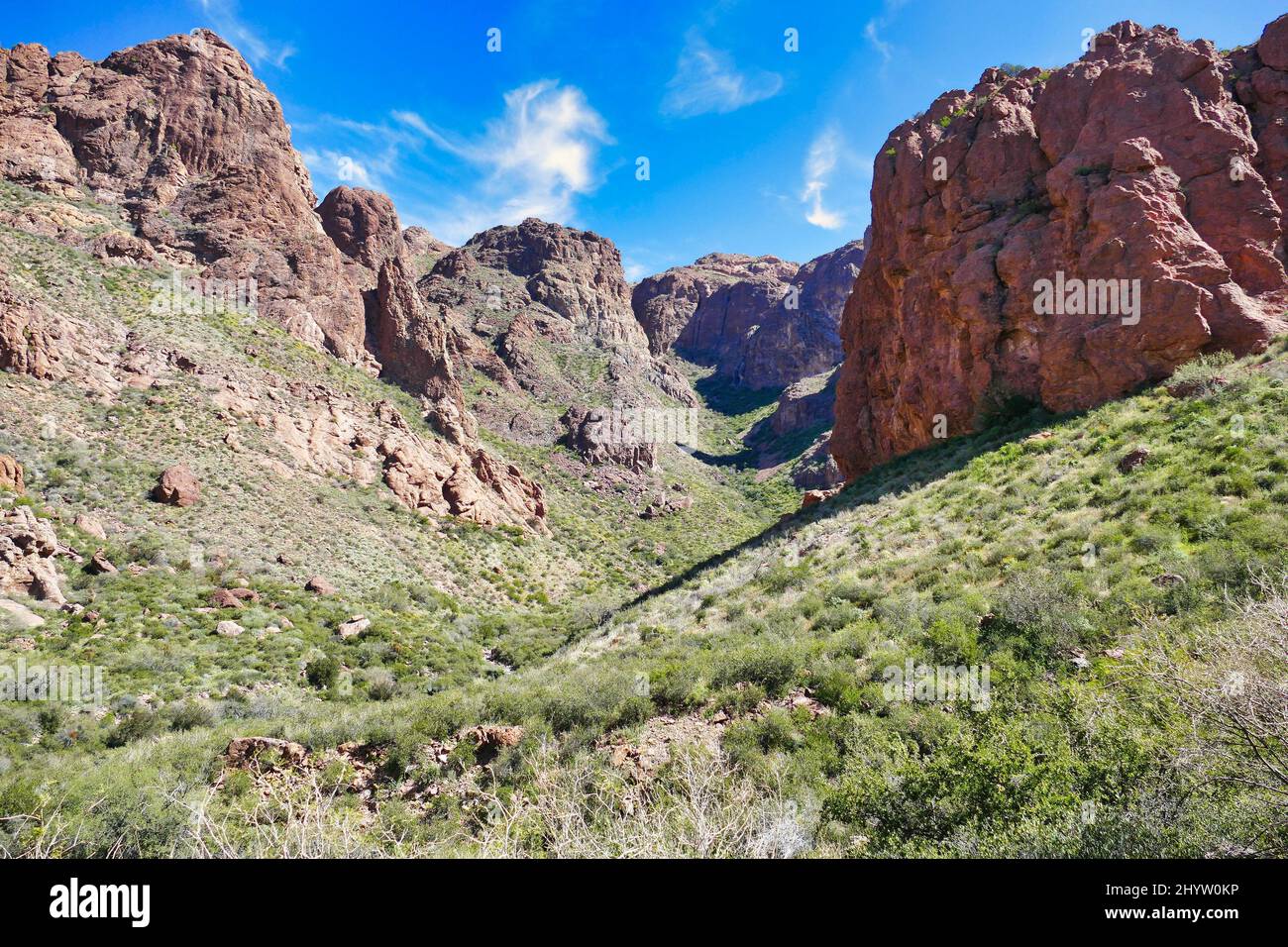 L'embouchure de l'Arch Canyon dans les montagnes Ajo, Organ Pipe Cactus National Monument, sud de l'Arizona, États-Unis Banque D'Images