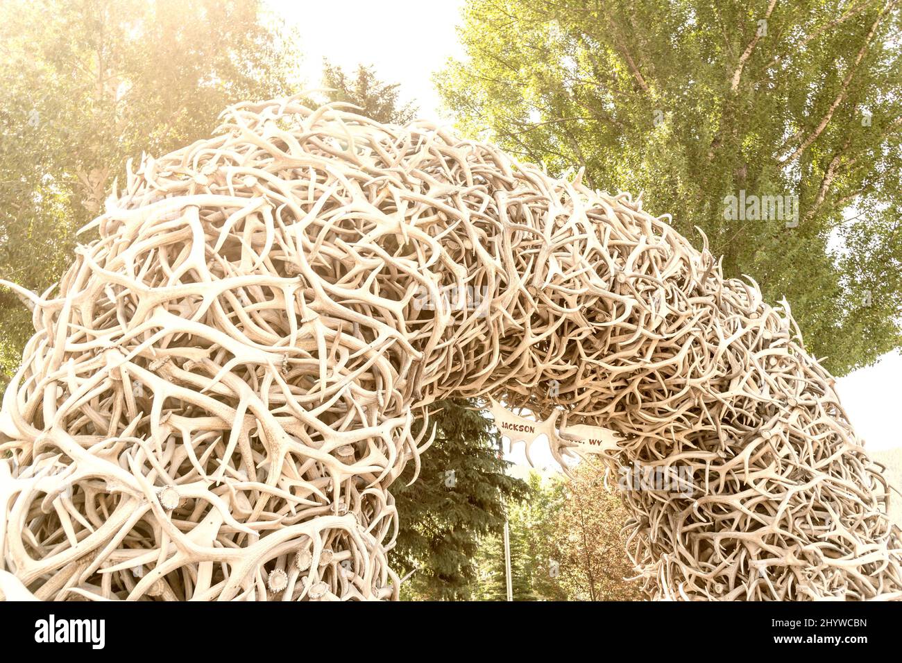 Gros plan sur Elk Antlers dans Town Square, Jackson Hole, WY. Banque D'Images