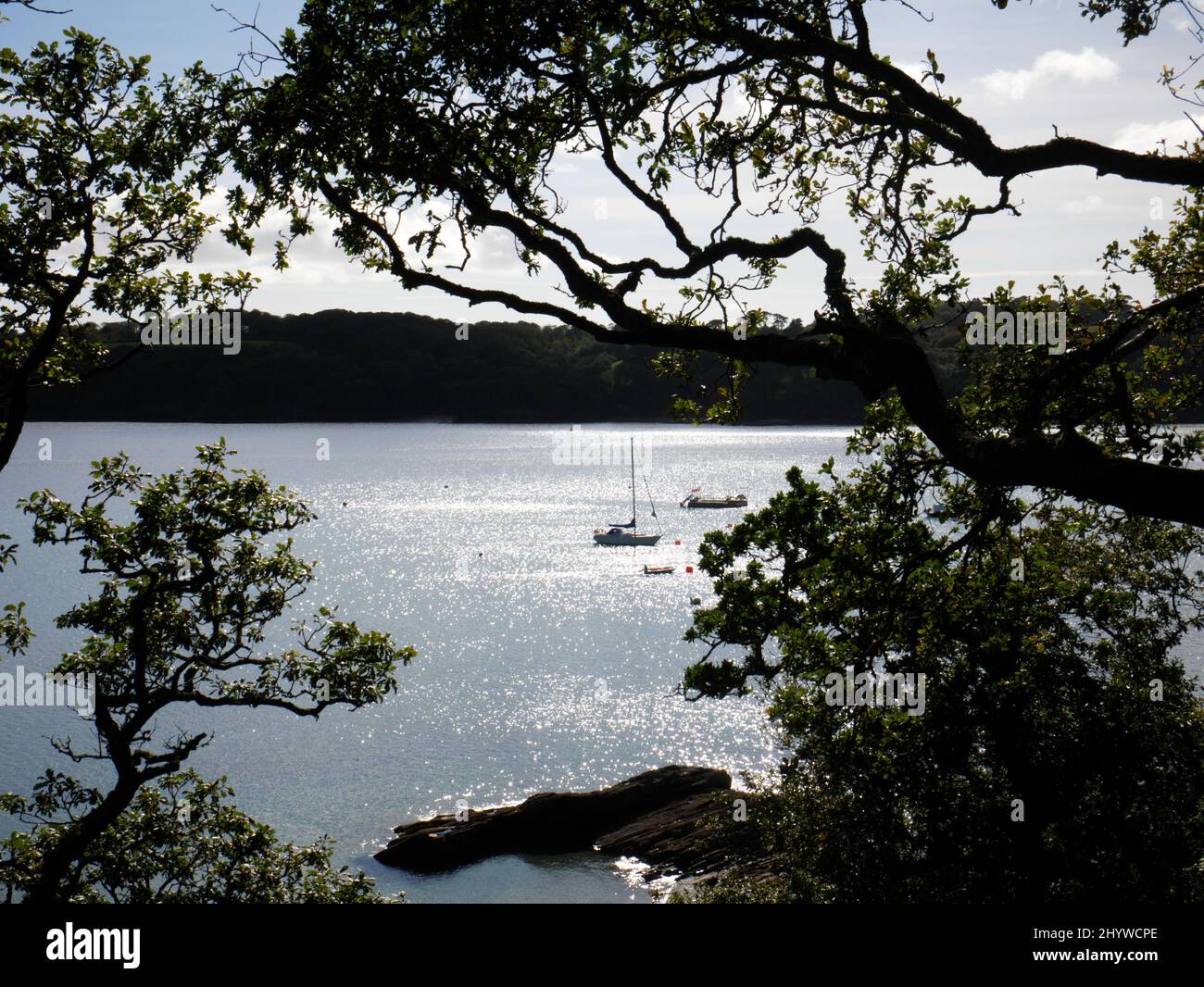 Lumière étincelante sur la rivière Helford dans les Cornouailles. Banque D'Images