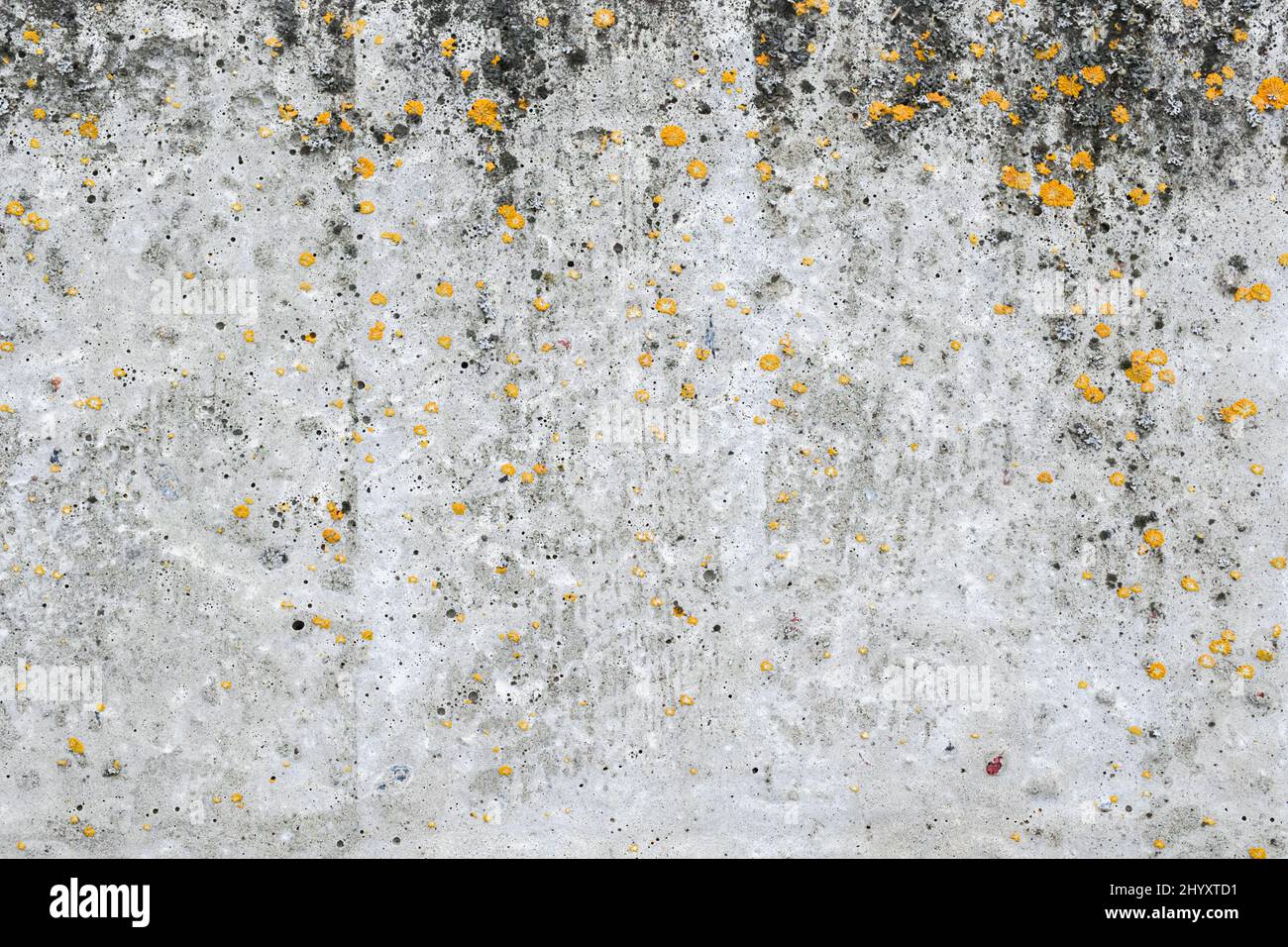 Vieux mur en pierre ou clôture avec mousse, photo d'arrière-plan à texture très détaillée Banque D'Images