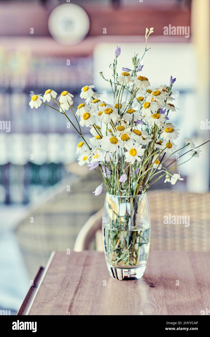 Bouquet de fleurs de Marguerite sauvage (Bellis perennis) dans un verre intérieur dans une maison. Banque D'Images